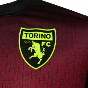 maglia third bambino torino fc 2022/2023 JOMA - 5