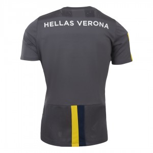 maglia allenamento hellas verona grigia 2019/2020 MACRON - 2