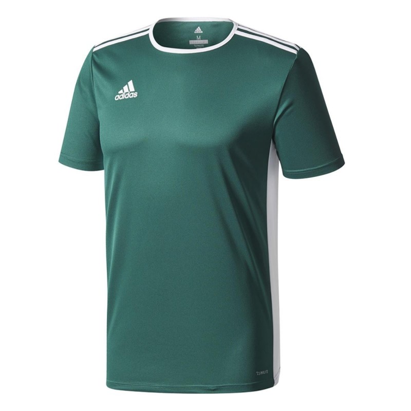 t-shirt entrada verde adidas ADIDAS - 1