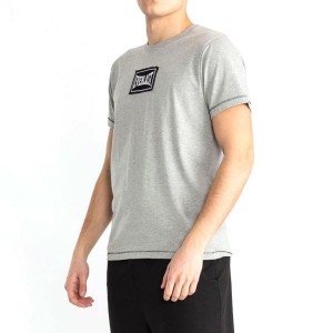 GRAY EVERLAST LIGHT T-SHIRT EVERLAST - 2